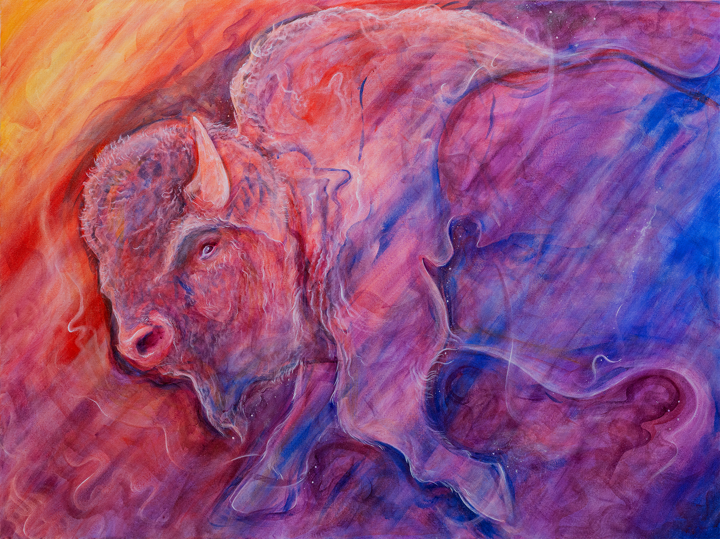 Spirit Bison - Stretched Canvas Print