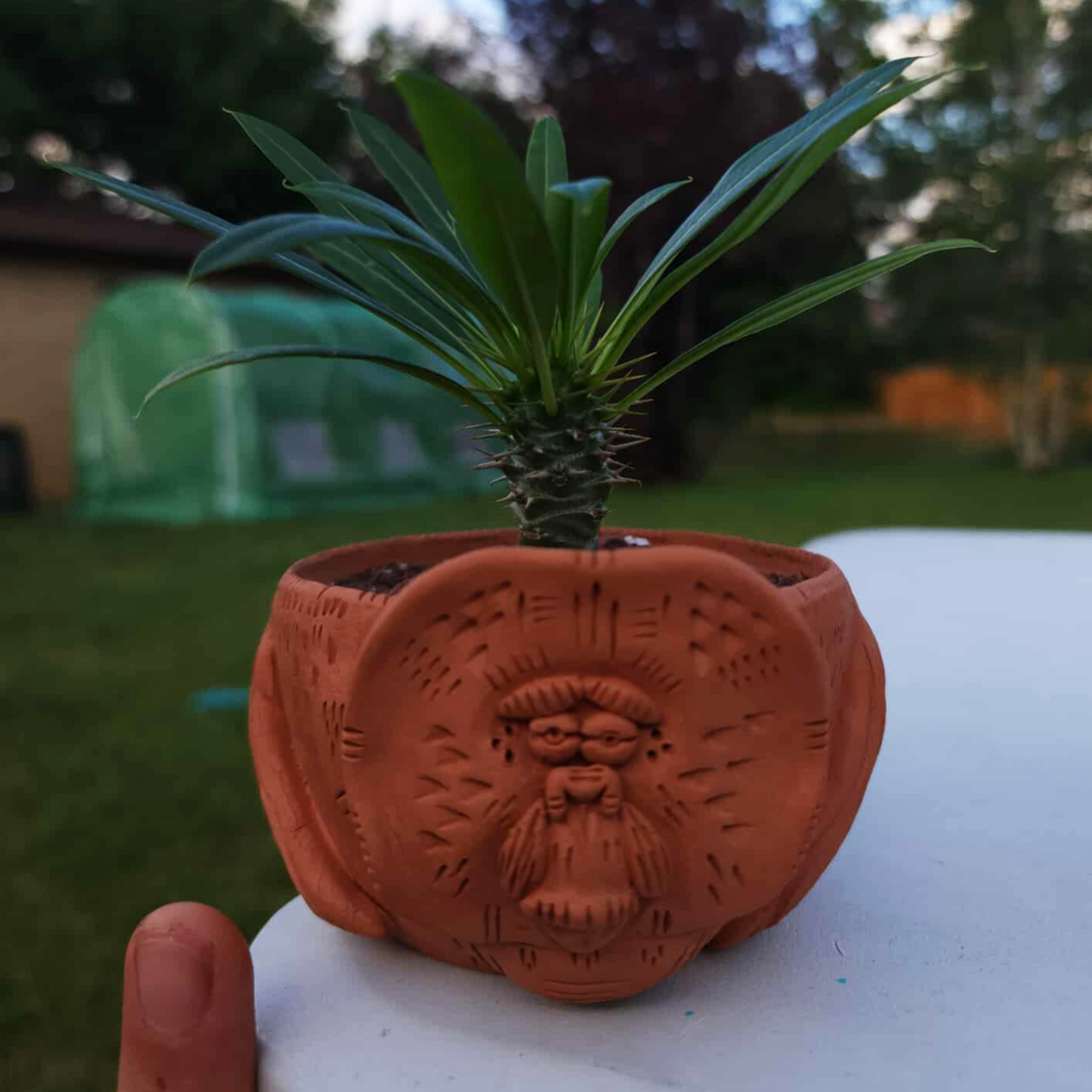 Orangutan Clay Planter